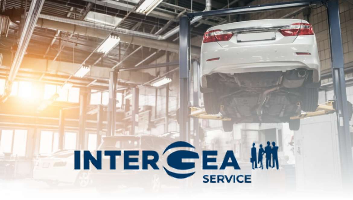 immagine plus service