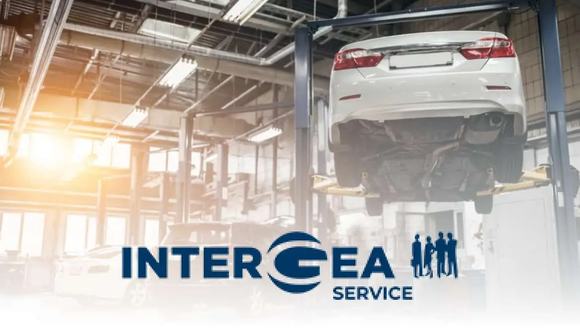 immagine plus service